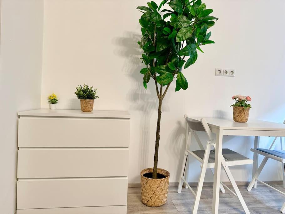 Appartement City Schoenbrunn Castle *